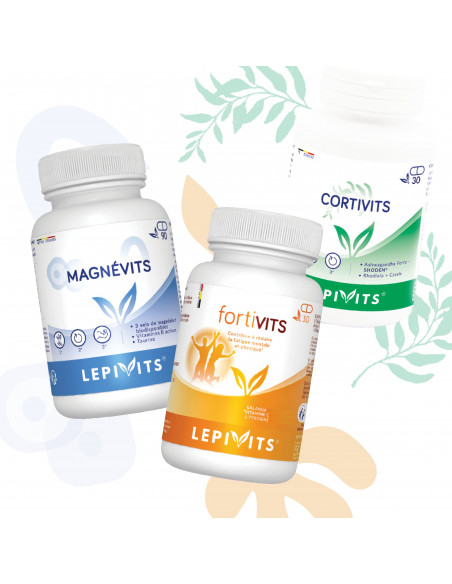 Pack énergie - Lepivits Pack énergie - Lepivits