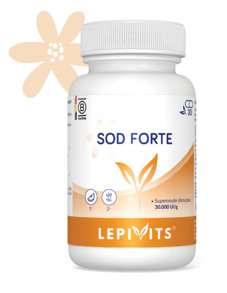 SOD Forte - 30 gélules - LEPIVITS SOD Forte - 30 gélules - LEPIVITS