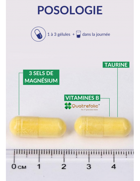 Posologie Magnévits Posologie Magnévits