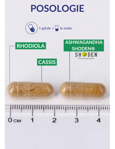 ENERGY PACK ENERGY PACK