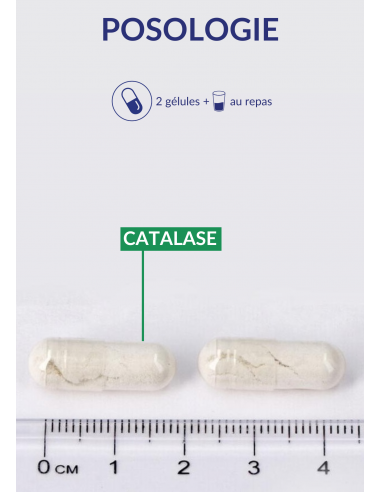 CATALASE CATALASE