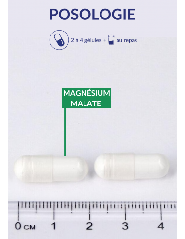 Posologie du magnésium malate Posologie du magnésium malate