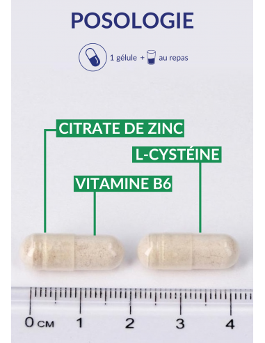 Posologie du Zinc Forte Posologie du Zinc Forte