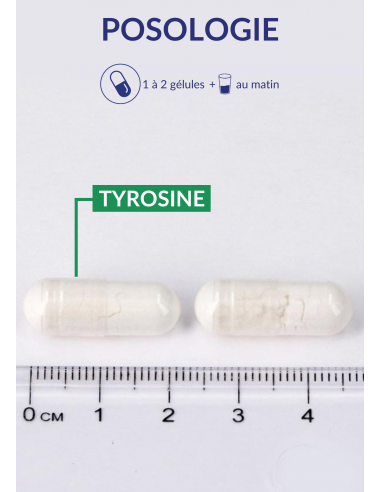 Posologie de Tyrosine Max Posologie de Tyrosine Max