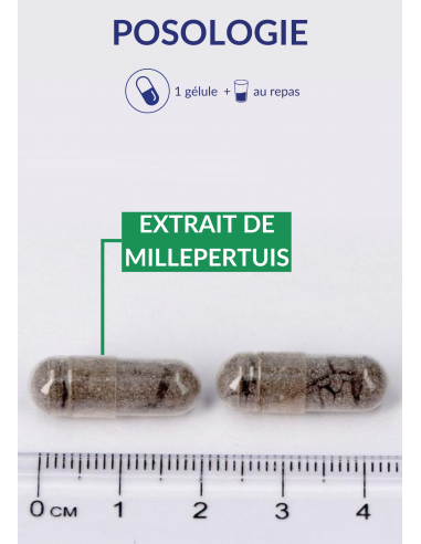 Posologie Millepertuis