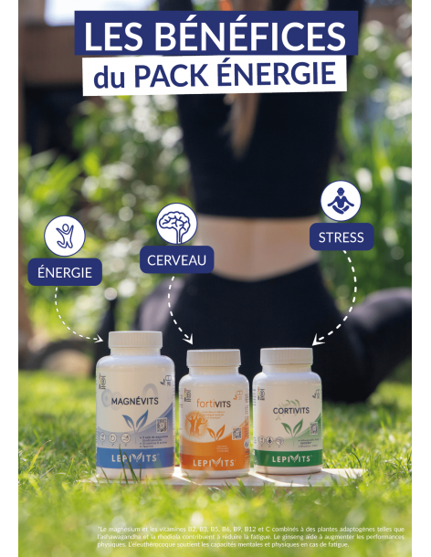 Pack énergie - Lepivits 2