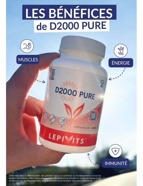 D2000_60 - LEPIVITS 2
