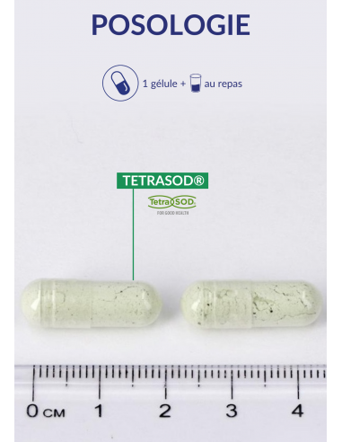 Posologie Superoxyde dismutase Posologie Superoxyde dismutase