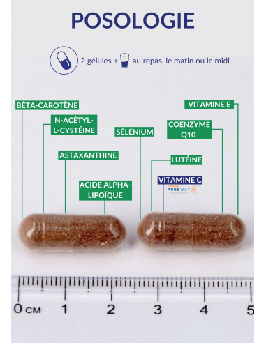 Posologie d'Antioxyvits Posologie d'Antioxyvits