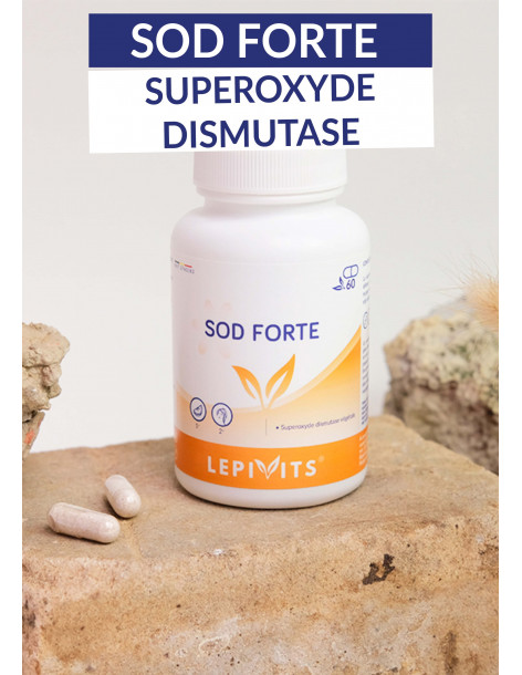 SOD FORTE - New 2