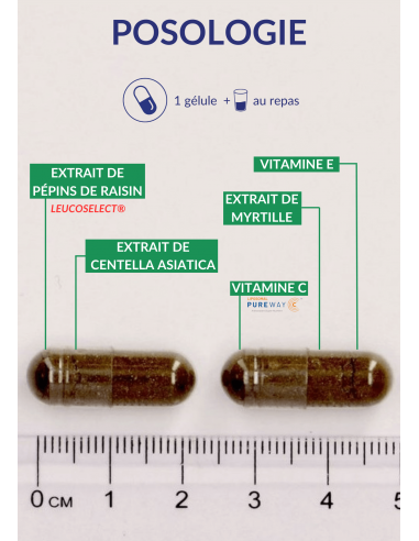 CIRCUVITS CIRCUVITS