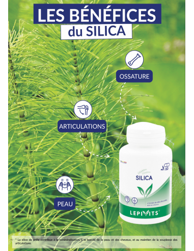 Les bénéfices du Silica Les bénéfices du Silica