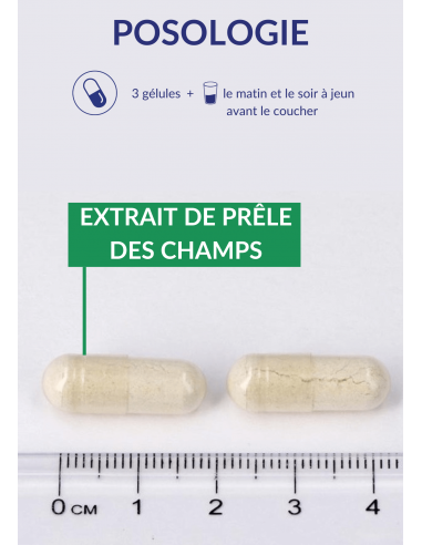 Posologie du Silica Posologie du Silica