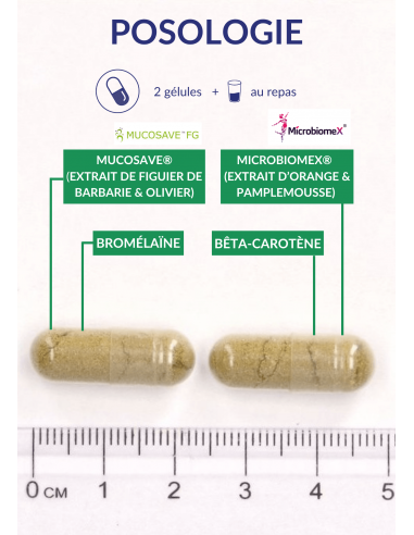 PERMEAVITS PERMEAVITS