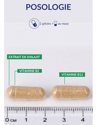 Posologie du Shilajit