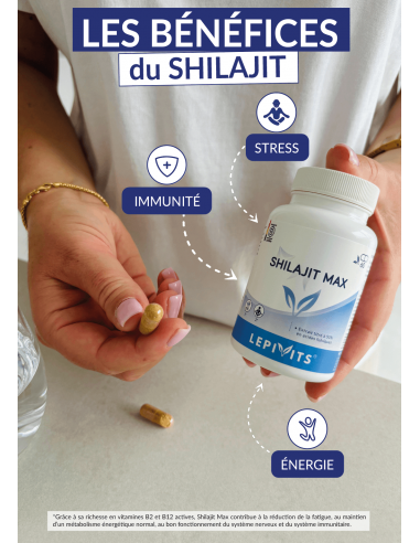 Les bénéfices du Shilajit
