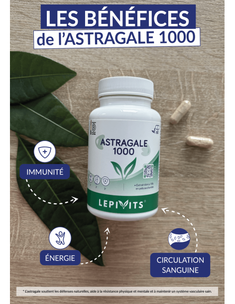 Astragale 1000 2