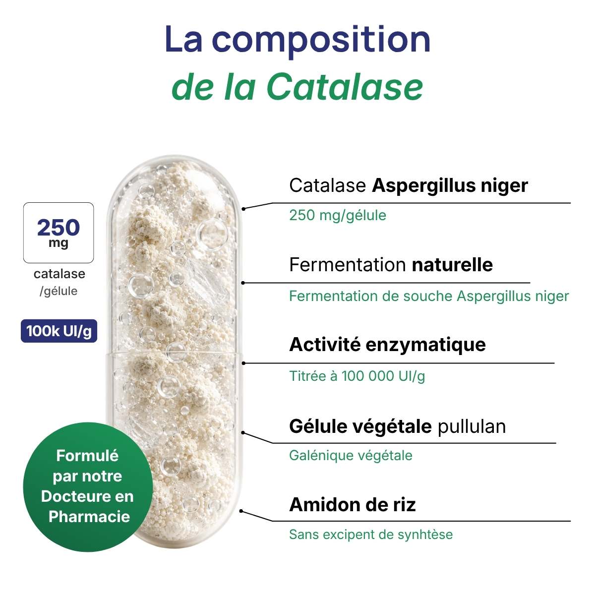 Schéma de la gélule Catalase détaillant la composition de la catalase 250mg par gélule