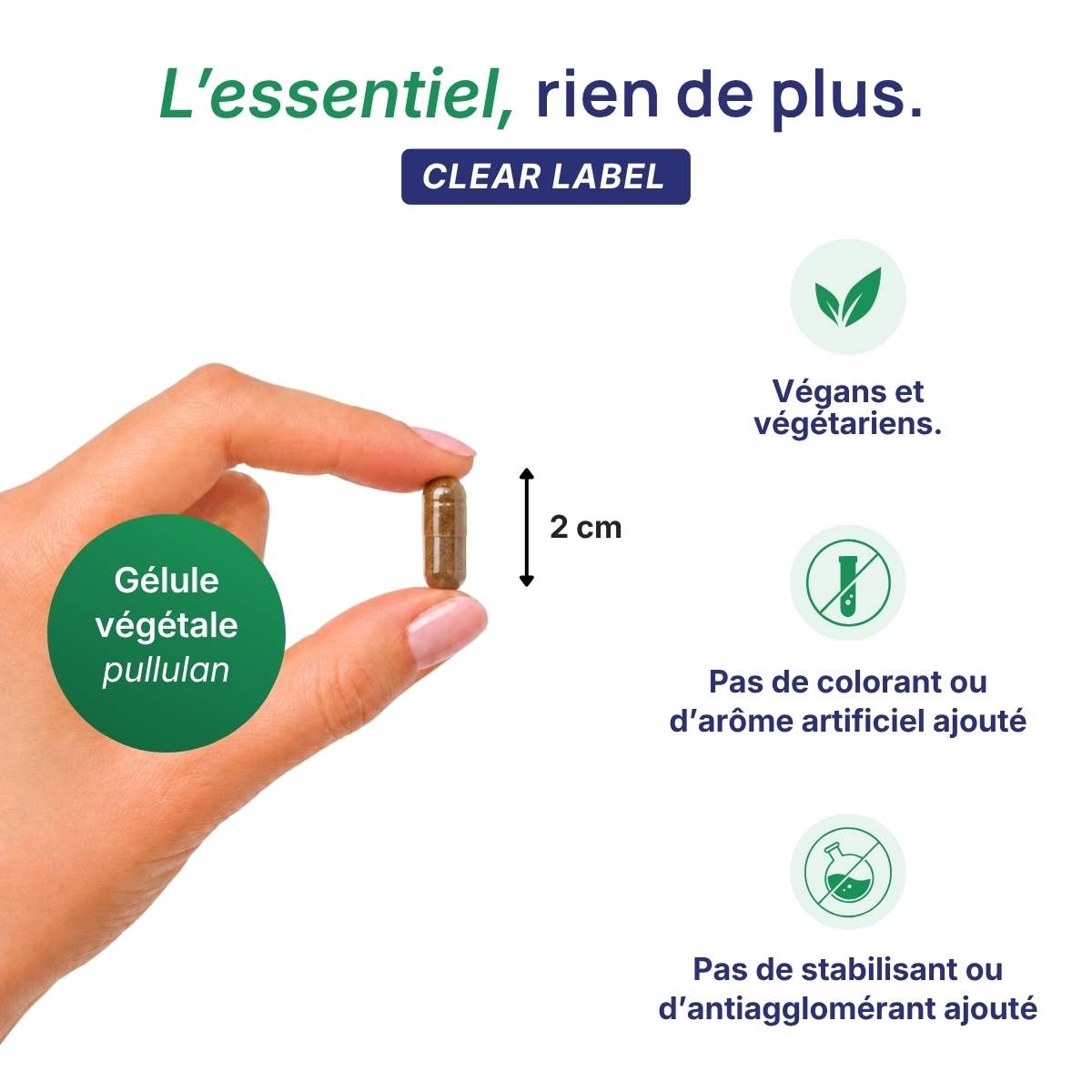 Main tenant une gélule végétale Circuvits Lepivits en pullulan de 2 cm, formule clear label sans colorant ni additif, végétariens.
