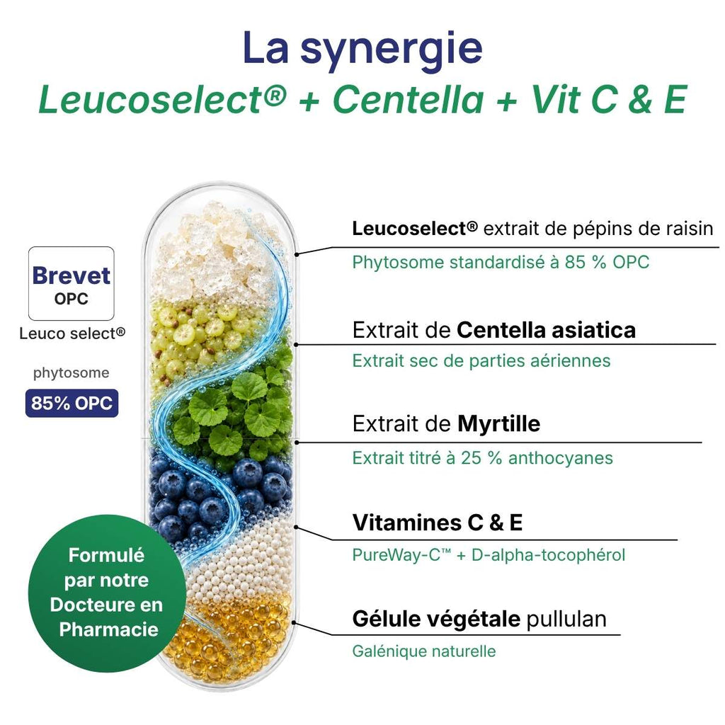 Schéma de la gélule Circuvits détaillant la synergie entre Leucoselect ® + Centella + vitamine C + vitamine E