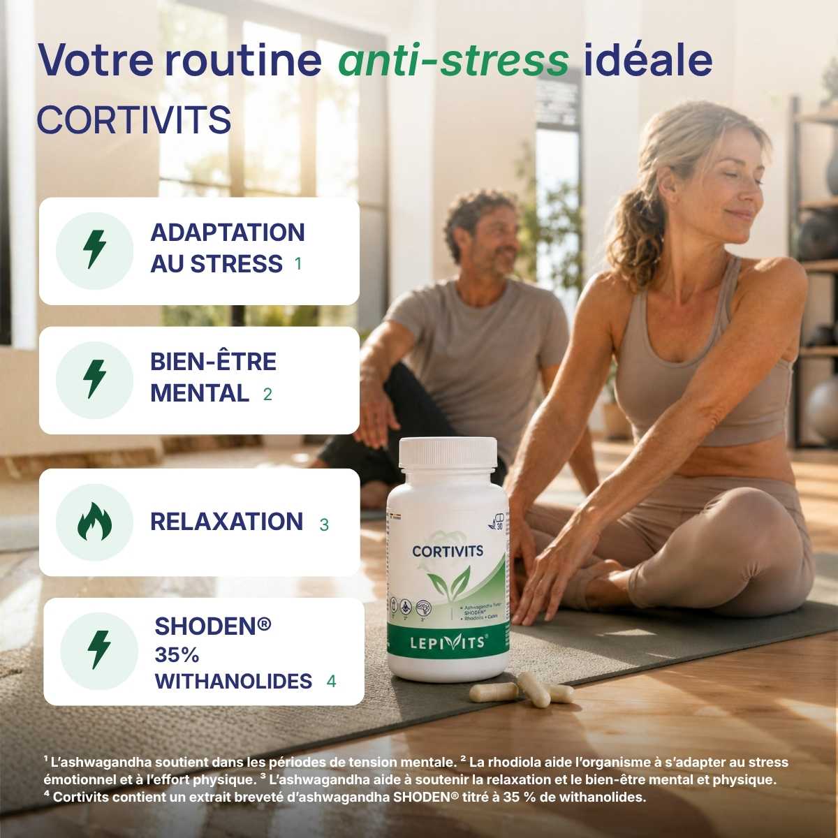Magnévits Lepivits : adaptation au stress, bien-être mental, extrait de cassis, shoden 35%