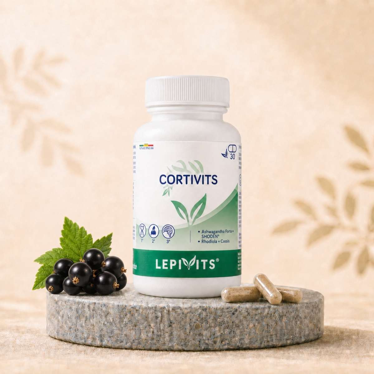 Flacon de Cortivits Lepivits, Ashwagandha breveté & Rhodiola, avec gélules végétales pullulan.