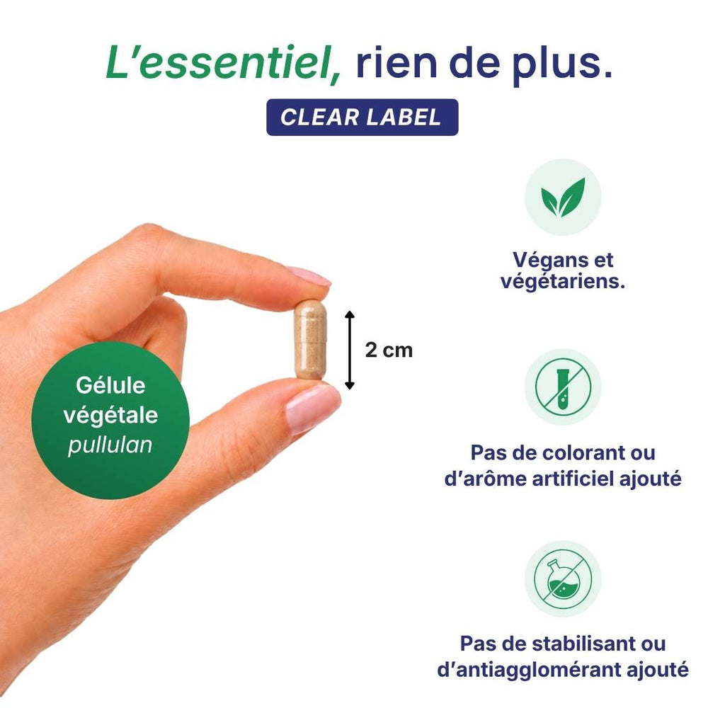 Main tenant une gélule végétale Cortivits Lepivits en pullulan de 2 cm, formule clear label sans colorant ni additif, végétariens.