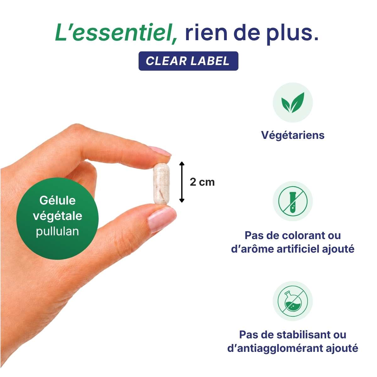Main tenant une gélule végétale Dermavits Lepivits en pullulan de 2 cm, formule clear label sans colorant ni additif, végétariens.