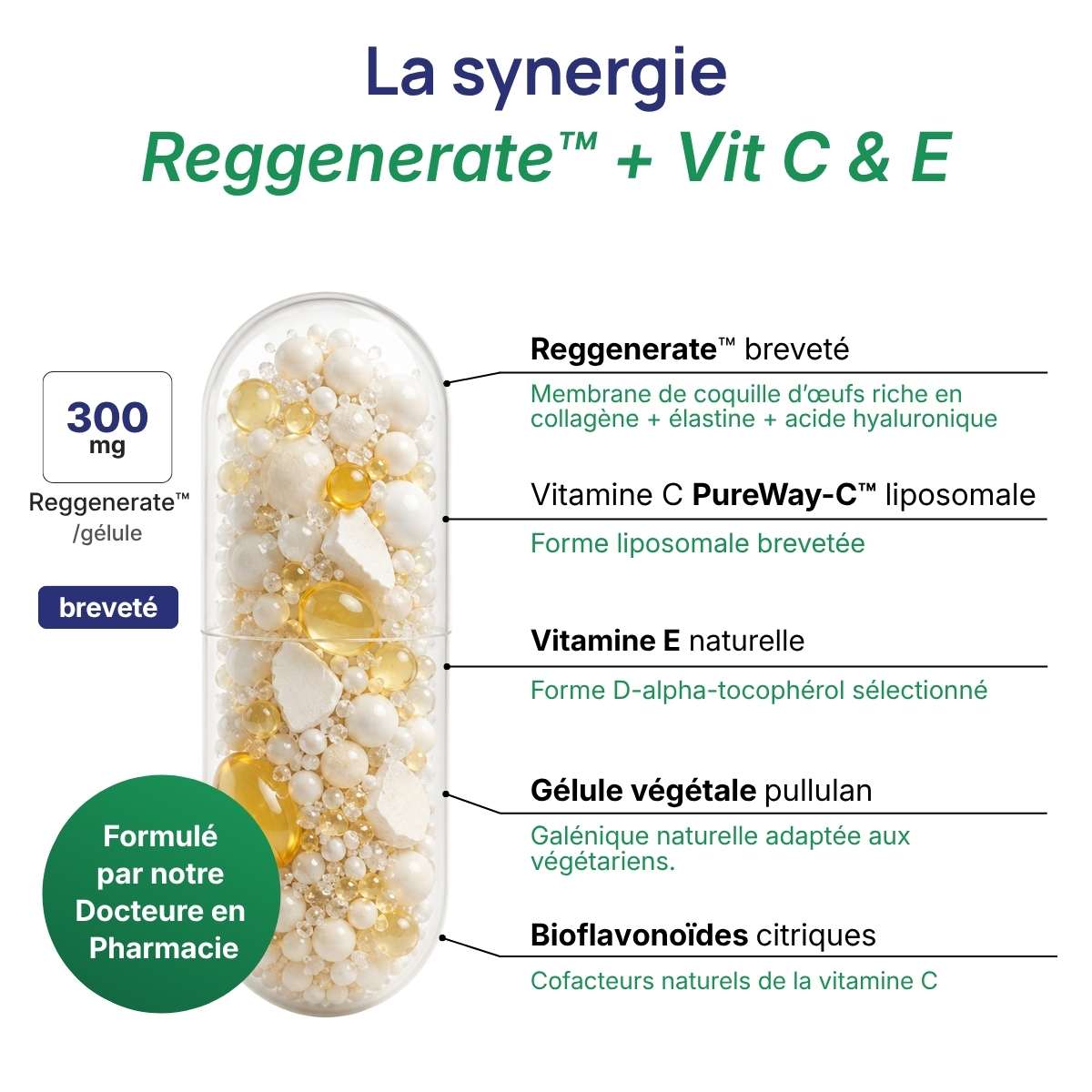 Schéma de la gélule Dermavits détaillant la synergie entre reggenerate + vit C & E.
