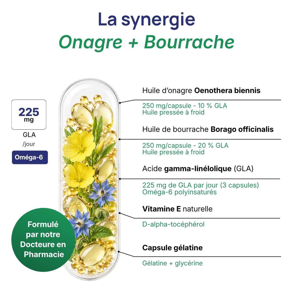 Schéma de la gélule Huile d’onagre et bourrache détaillant la synergie entre onagre et bourrache (225 mg GLA/jour). 