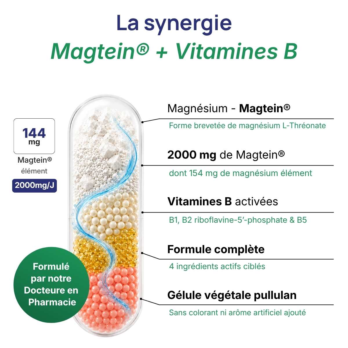 Schéma de la gélule Magmentis détaillant la synergie entre Magtein® et vitaminesB