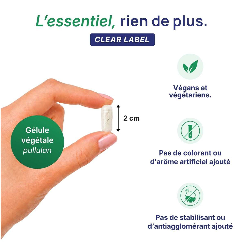 Main tenant une gélule végétale Magnésium + Potassium Lepivits en pullulan de 2 cm, formule clear label sans colorant ni additif, végétariens.