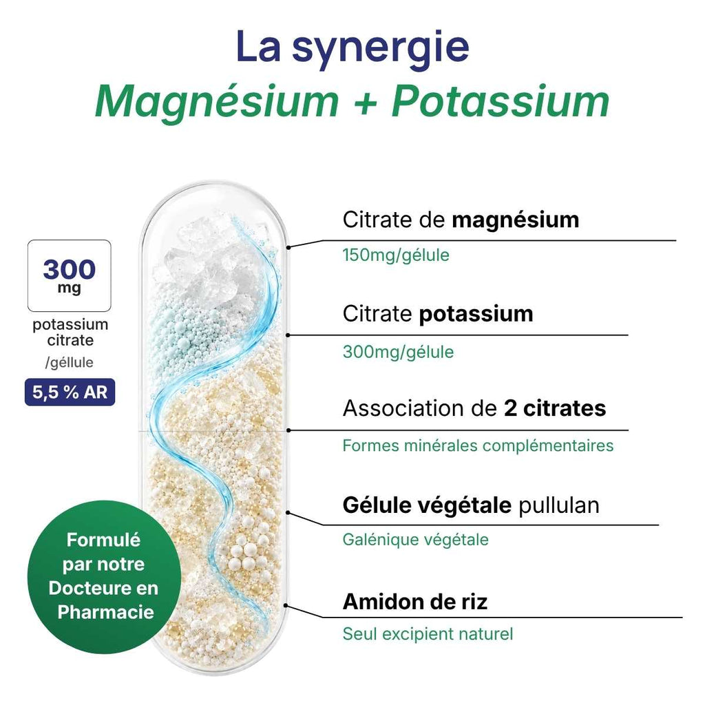Schéma de la gélule Magnésium + Potassium détaillant la synergie entre Citrates de magnésium et potassium – Électrolytes.
