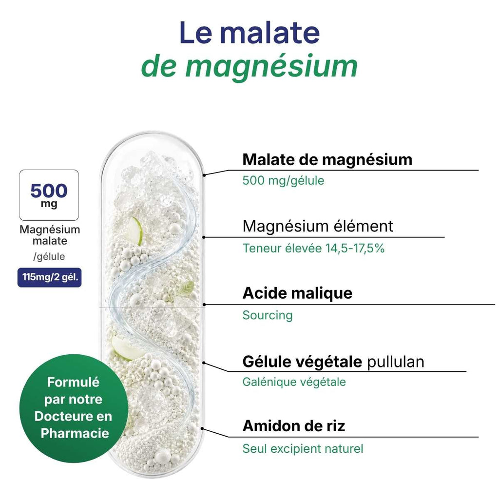 Schéma de la gélule Malate de magnésium détaillant le malate de magnésium (500 mg). 