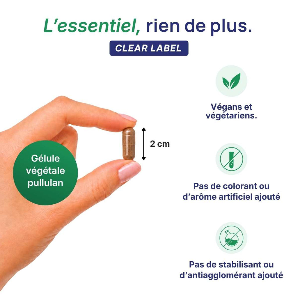 Main tenant une gélule végétale Memoryvits Lepivits en pullulan de 2 cm, formule clear label sans colorant ni additif, végétariens.