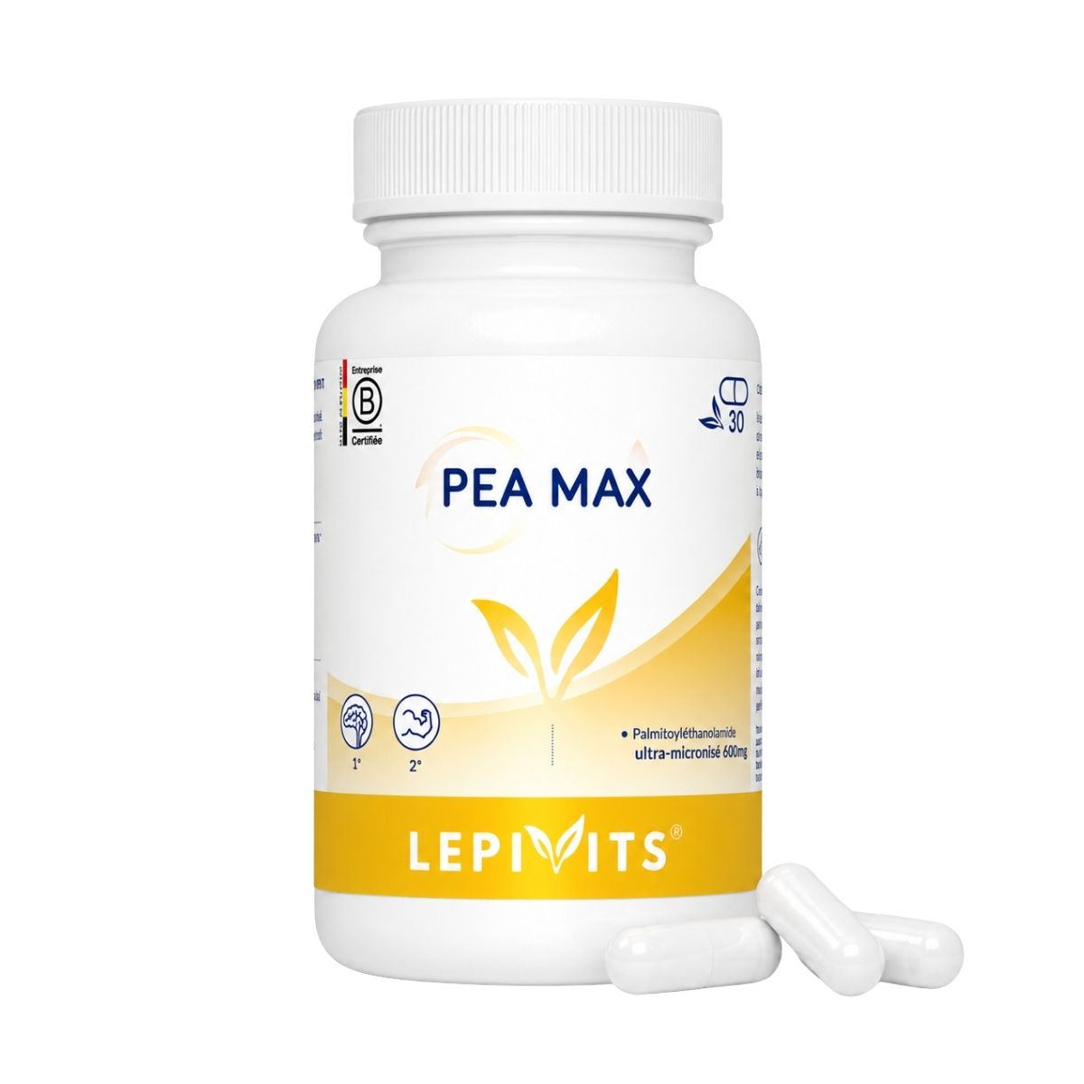 Vue de face du flacon PEA Max Lepivits 30 gélules sur fond blanc, avec trois capsules de magnésium posées devant.