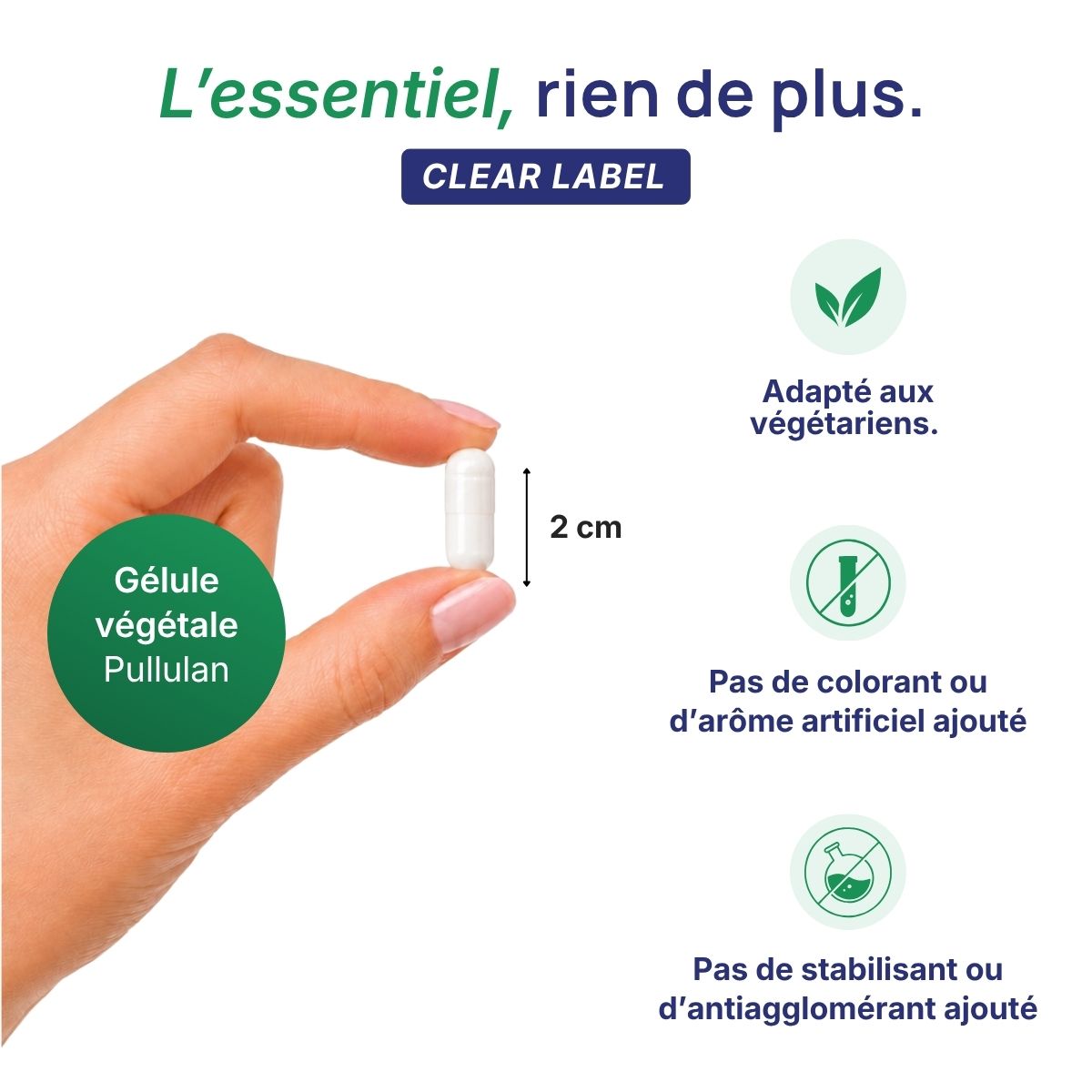 Main tenant une gélule végétale PEA Max Lepivits en pullulan de 2 cm, formule clear label sans colorant ni additif, végétariens.