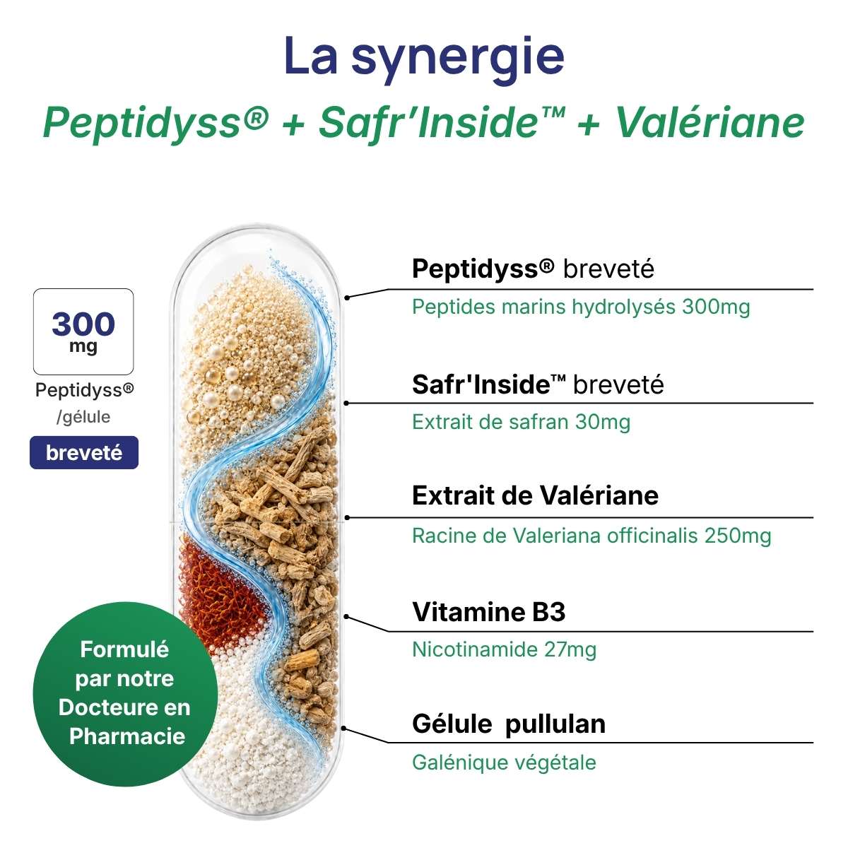 Schéma de la gélule Somivits détaillant la synergie entre Peptidyss® + Safr’Inside™ & valériane