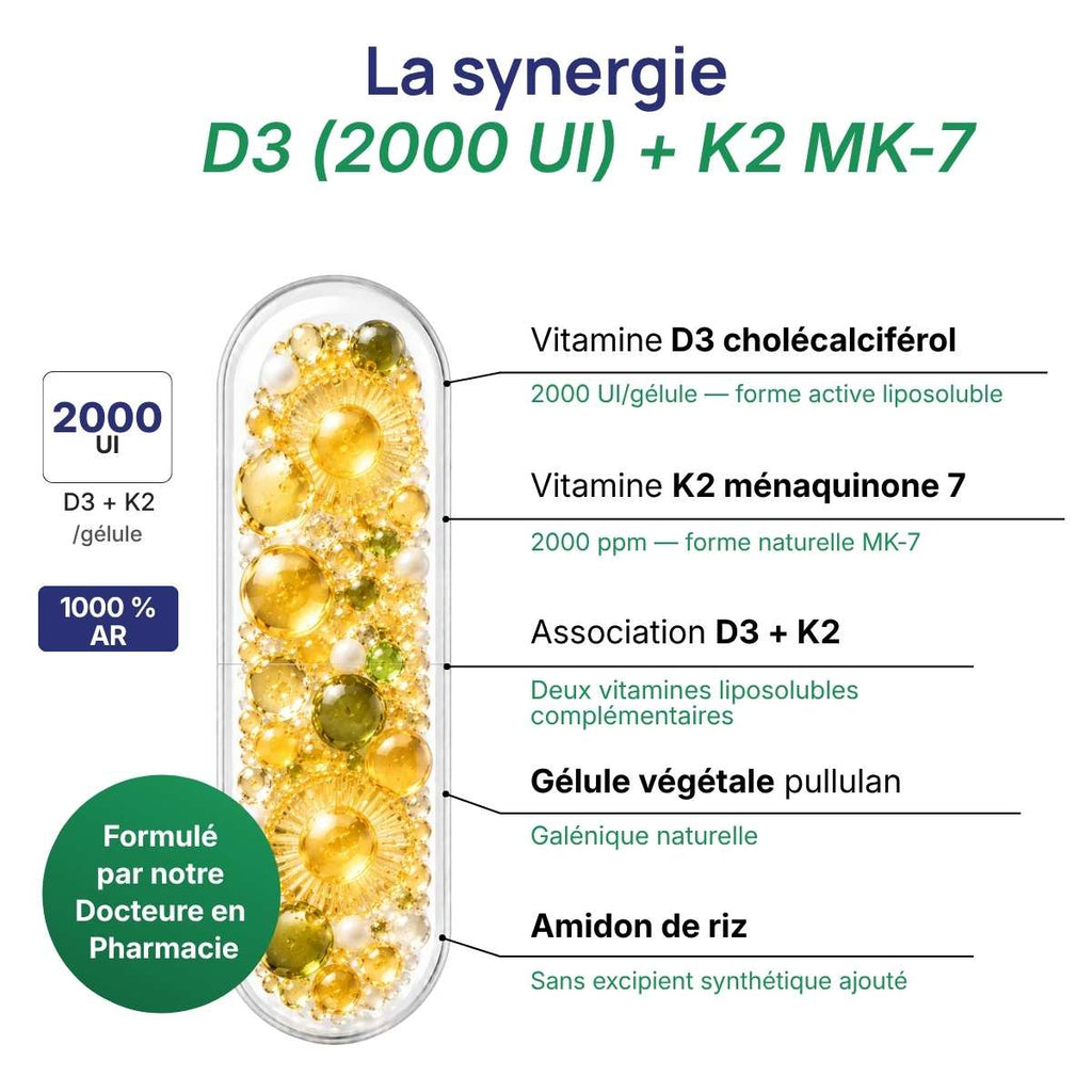Schéma de la gélule Super D3+K2 détaillant la synergie entre D3 (2000 UI- + K2 MK-7