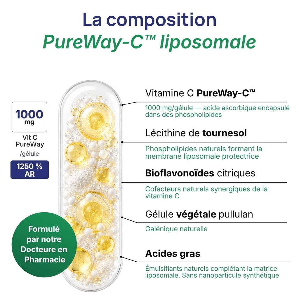 Schéma de la gélule Vit C 1000 liposomale détaillant la composition PureWay-C liposomale