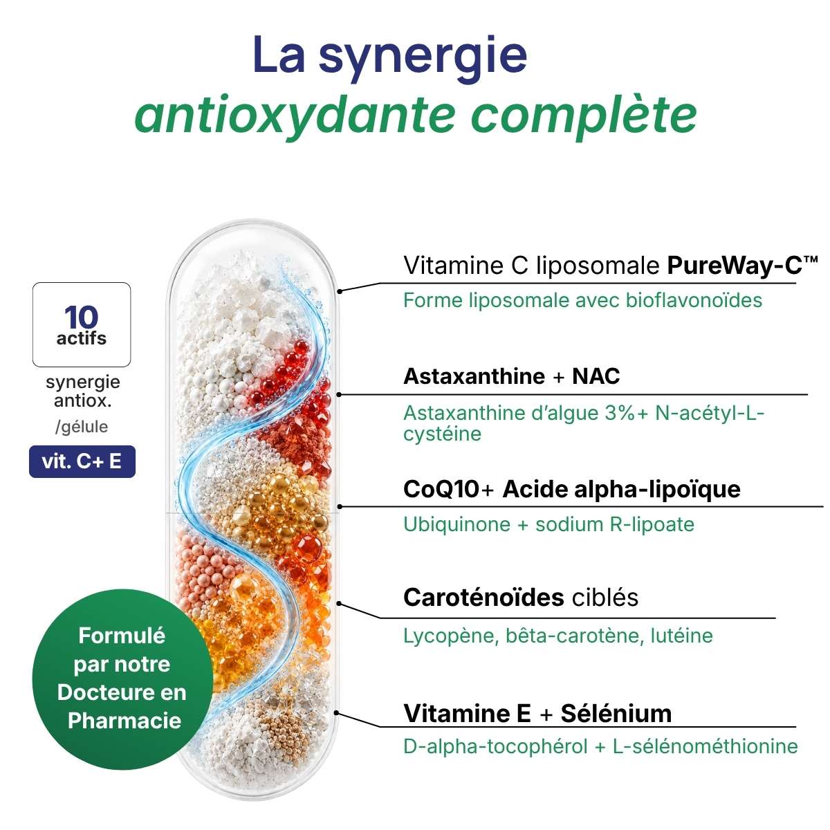 Schéma de la gélule Antioxyvits détaillant la synergie antioxydante complète (10 actifs). 