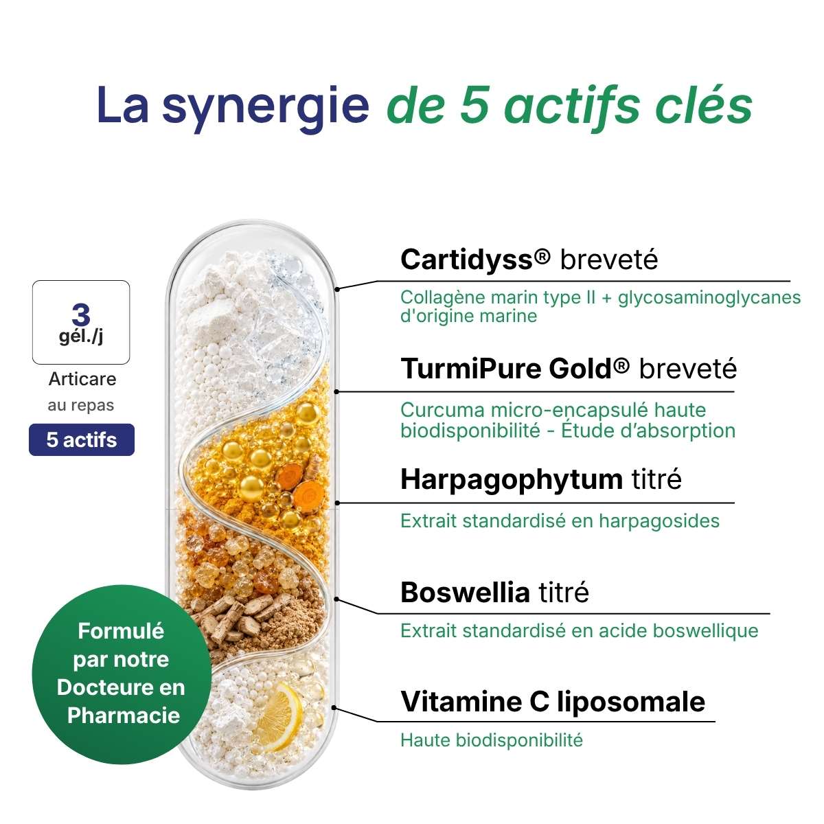 Schéma de la gélule Articare détaillant la synergie entre 5 actifs clés