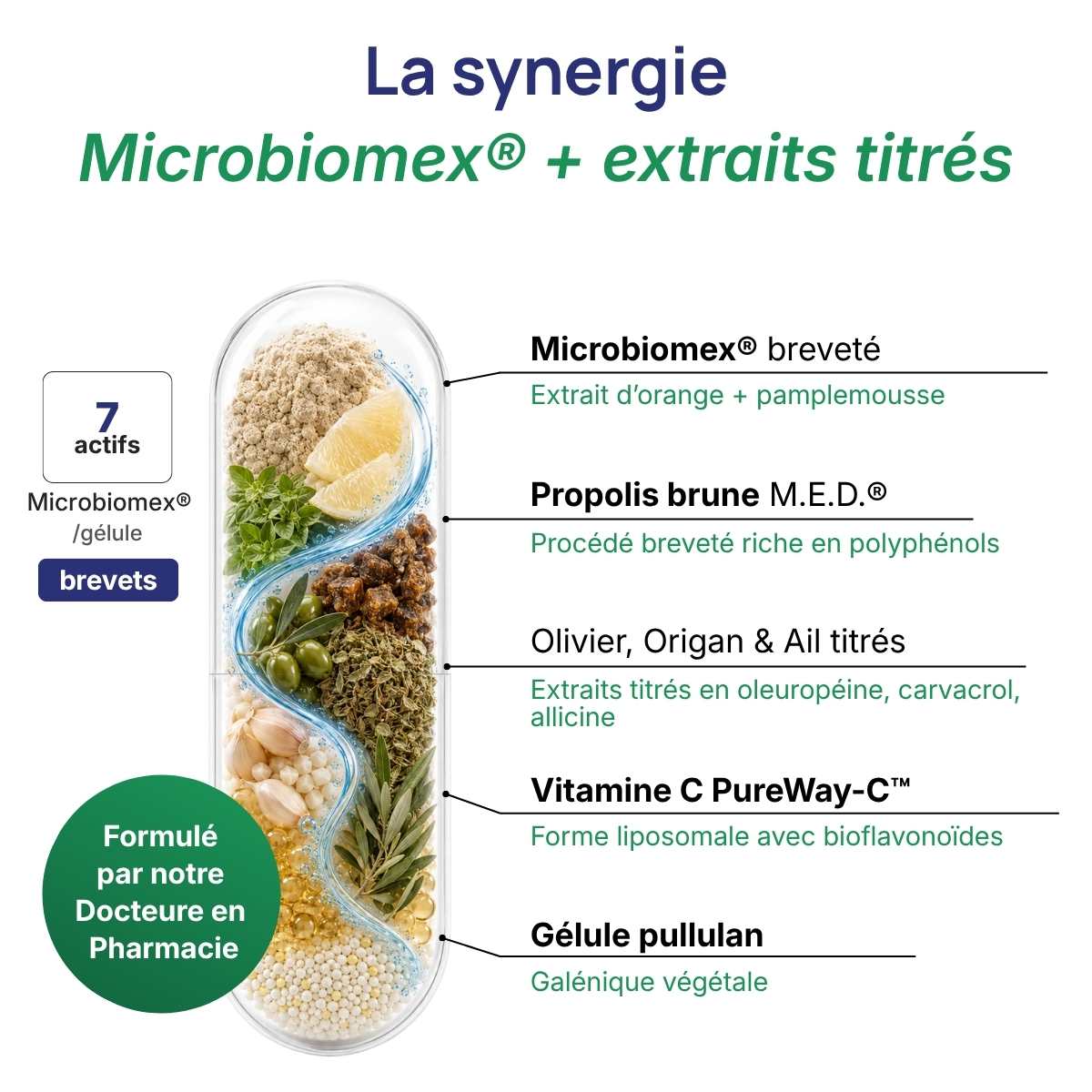 Schéma de la gélule Candovits détaillant la synergie entre Microbiomex®, propolis & extraits titrés