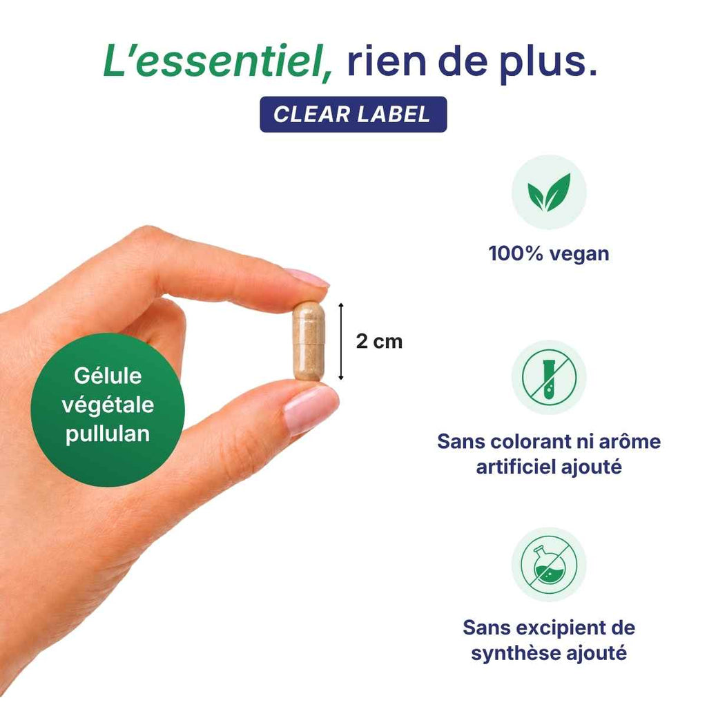 Main tenant une gélule végétale cyclévia Lepivits en pullulan de 2 cm, formule clear label sans colorant ni additif, végétariens.
