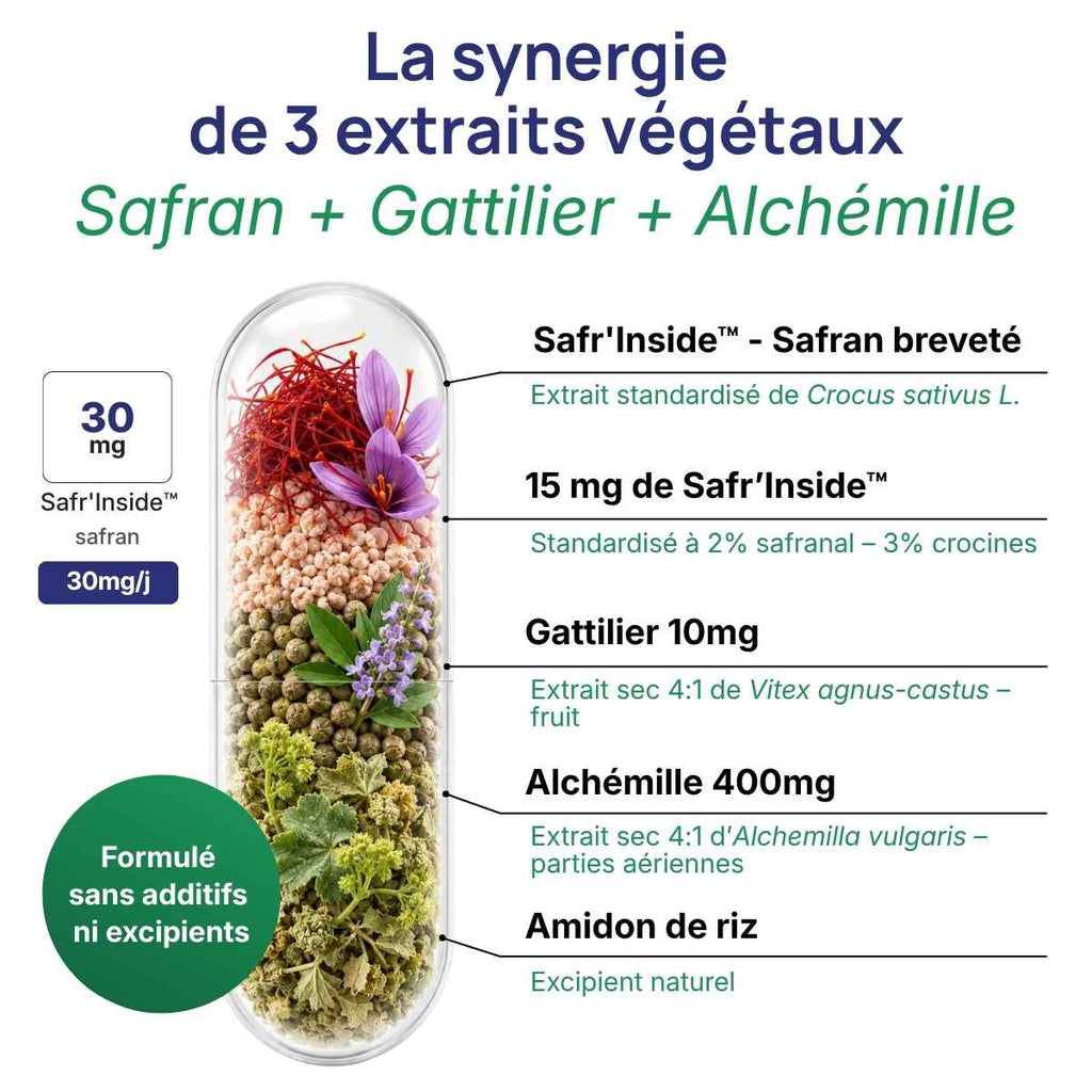 Schéma de la gélule Cyclévia détaillant la synergie de 3 extraits végétaux