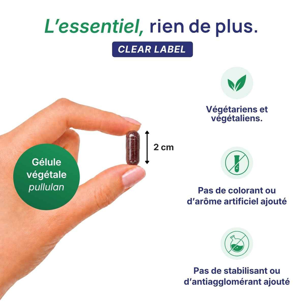 Main tenant une gélule végétale Immuvits Lepivits en pullulan de 2 cm, formule clear label sans colorant ni additif, végétariens.