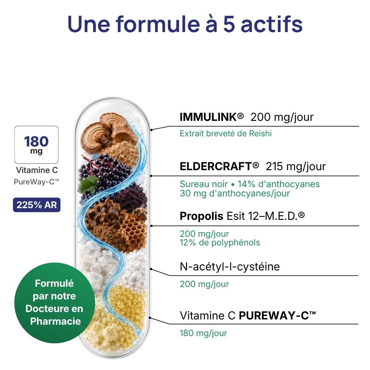 Schéma de la gélule Immuvits détaillant la synergie entre reishi et sureau.