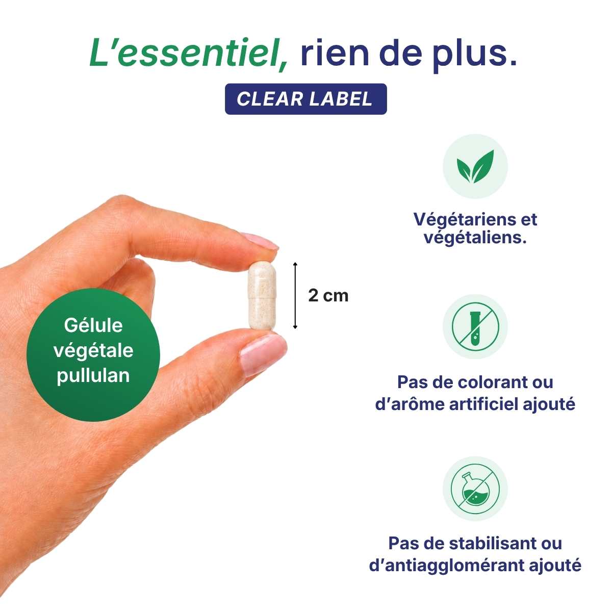 Main tenant une gélule végétale Magmentis Lepivits en pullulan de 2 cm, formule clear label sans colorant ni additif, végétariens.