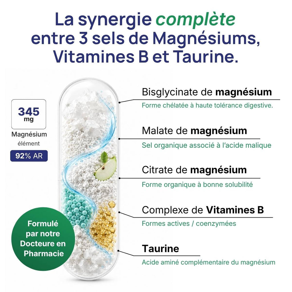 Schéma de la gélule Magnévits détaillant la synergie entre 3 sels de magnésium, vitamines B et taurine (345 mg, 92% AR). 
