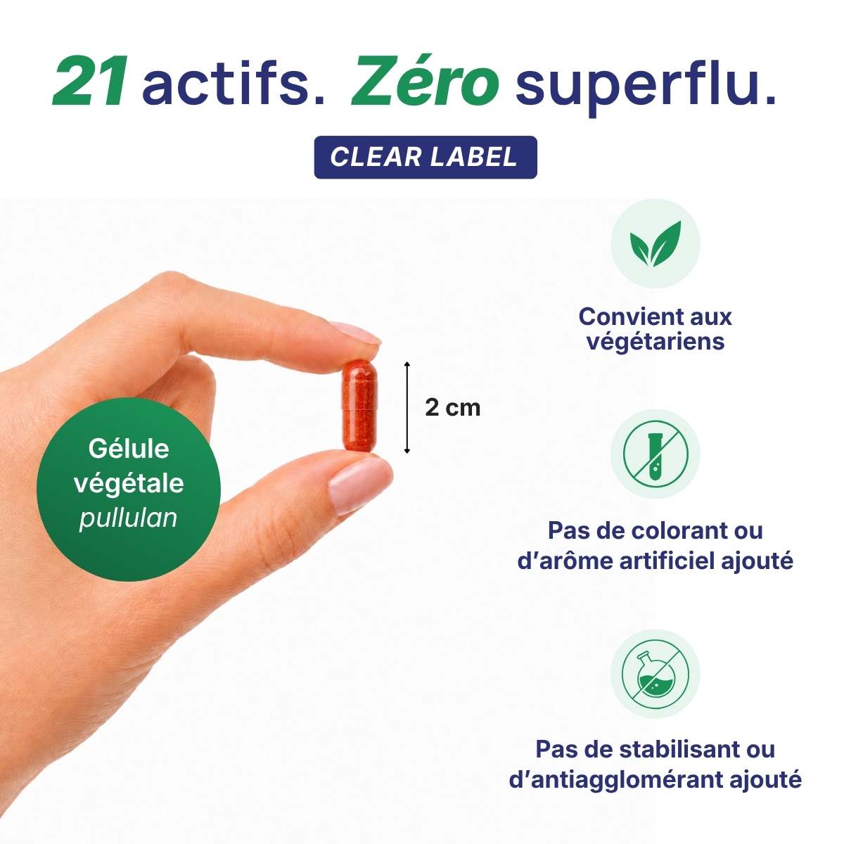Main tenant une gélule végétale Magnévits Lepivits en pullulan de 2 cm, formule clear label sans colorant ni additif, végétarriens.
